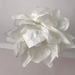Romantica * Подебрады