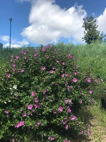 アパート Romantica *